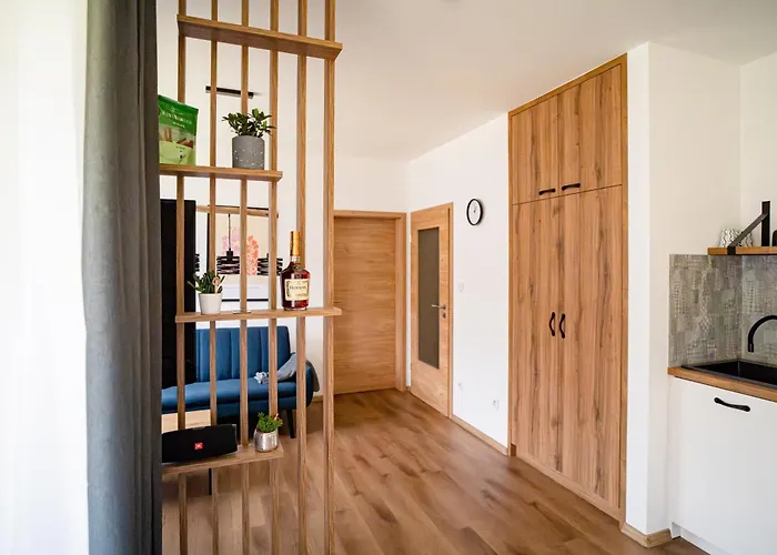 Apartment Horsky U Toma *